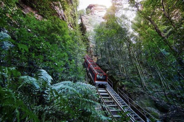 scenic railway